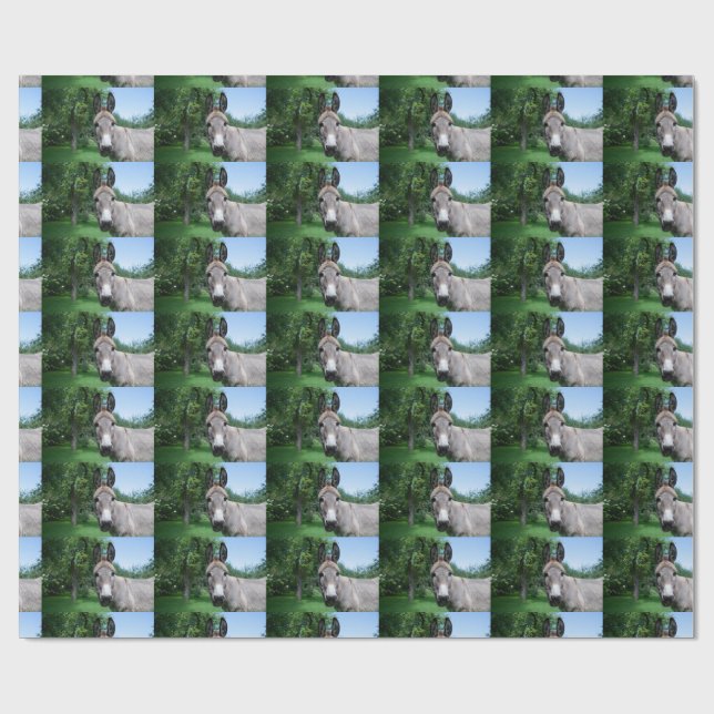 Papel De Presente Bonito Retrato Donkey (Aberto)