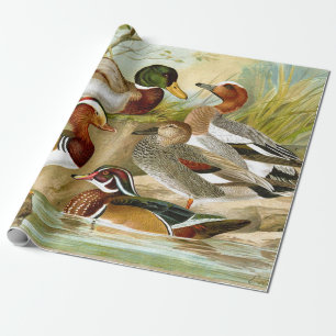 Papel De Presente Bonitos Patos Vintage Na Decoupage De Pond