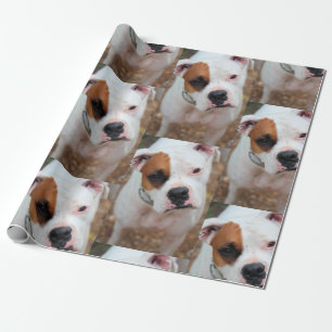 Papel De Presente Boop