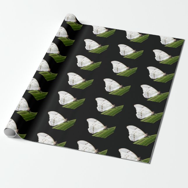 Papel De Presente Borboleta branca Morpho na folha (Desenrolado)