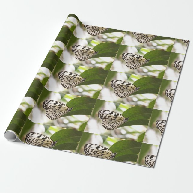 Papel De Presente Borboleta de pipa de papel (Desenrolado)