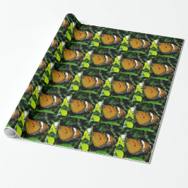 Papel De Presente Borboleta laranja, preta e branca na folha