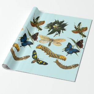 Papel De Presente Borboletas lagartas Insetos Insetos Arte Natural