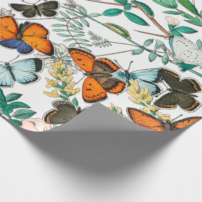 PAPEL DE PRESENTE BORBOLETAS NA NATUREZA (Ponta)