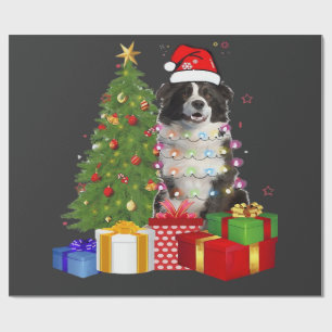 Papel De Presente Border Collie Engraçado Árvore de Natal Feliz Nata
