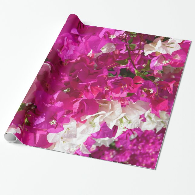 Papel De Presente Bougainvillea (Desenrolado)