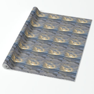 Papel De Presente Braço de Turnagain do solstício de inverno