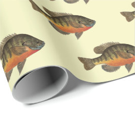Papel De Presente Bream, Bluegill