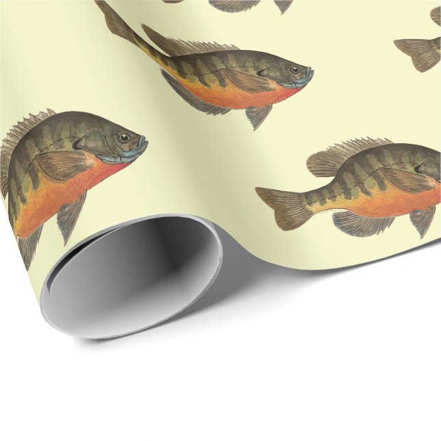 Papel De Presente Bream, Bluegill (Ponta do rolo)