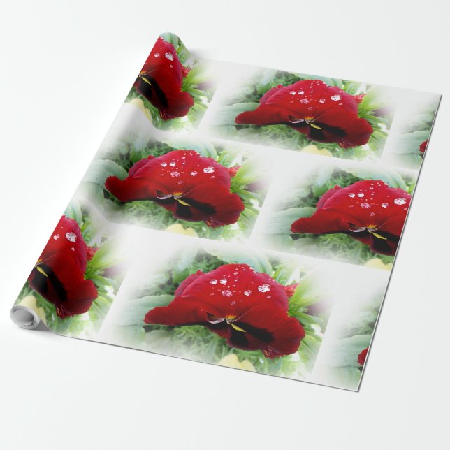 Papel De Presente Bright Red Pansy (Desenrolado)