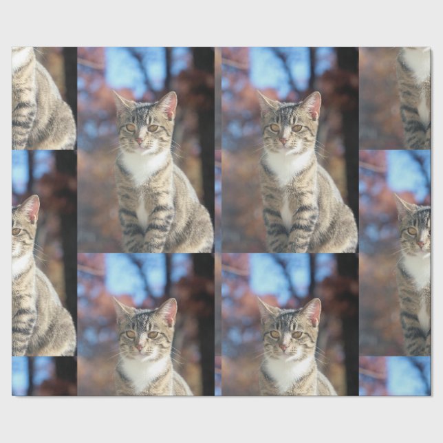 Papel De Presente Brin (Barra)