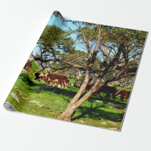 Papel De Presente Brown e vacas brancas na escala,