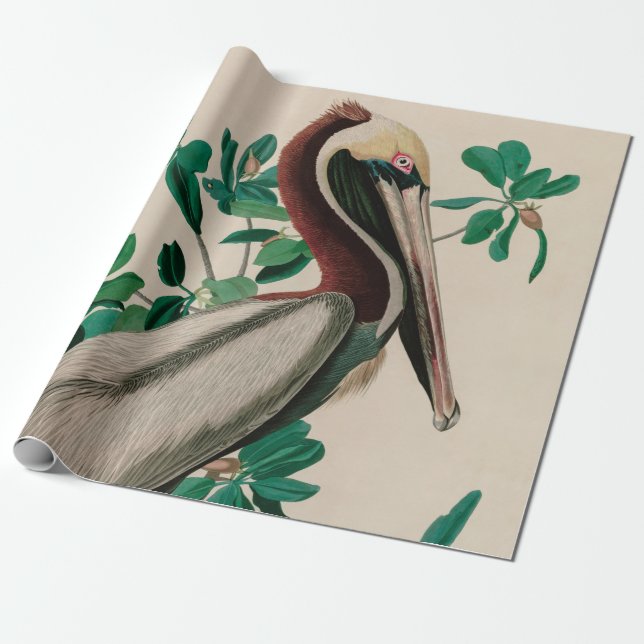 Papel De Presente Brown Pelican Birds of America Audubon Impressão (Desenrolado)