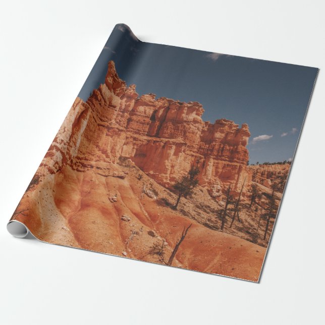 PAPEL DE PRESENTE BROWN ROCKS (Desenrolado)