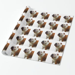 Papel De Presente Buldogue