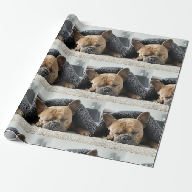 Papel De Presente buldogue francês debaixo de cobertor  (Desenrolado)