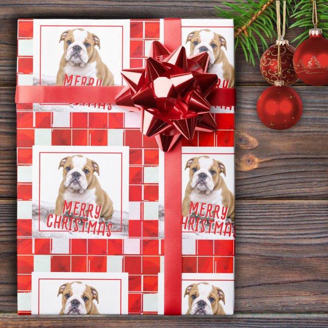 Papel De Presente Bulldog com Xadrez Vermelho Foto Natal Feliz  (Criador carregado)