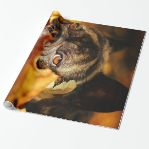 Papel De Presente Bulldog Dog Cute English Bulldog Gift