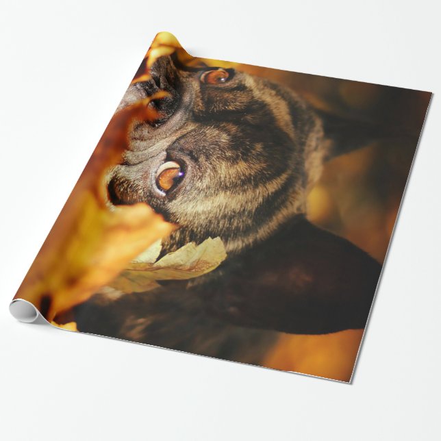 Papel De Presente Bulldog Dog Cute English Bulldog Gift (Desenrolado)