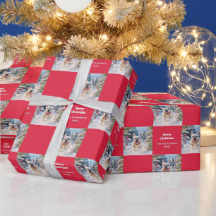 Papel De Presente Bulldog Francês Branco na Neve Vermelho Natal