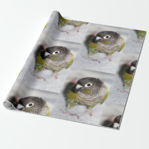Papel De Presente Burbel