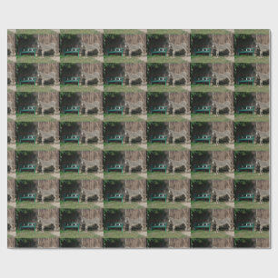 Papel De Presente Burro Adorável ao Lado de Banco Verde de Madeira