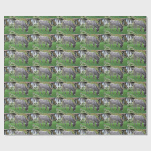 Papel De Presente Burro de Pastoreio