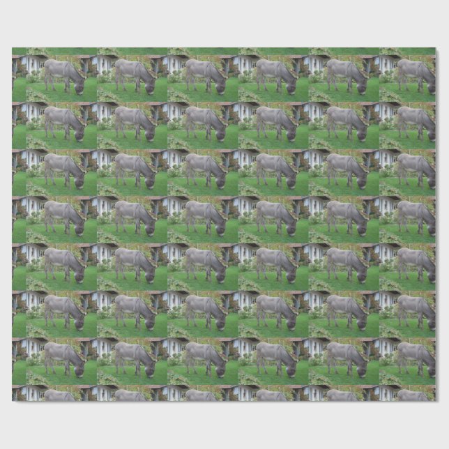 Papel De Presente Burro de Pastoreio (Aberto)