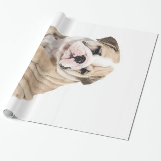 Papel De Presente Cachorro Cachorro