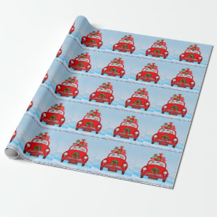 Papel De Presente Cachorro De Goldendoodle No Carro Com Papai Noel