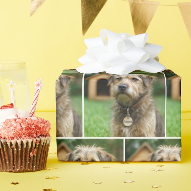 Papel De Presente Cachorro Desgrenhado Adotado Com Casa de Cachorro (Festa de aniversário)