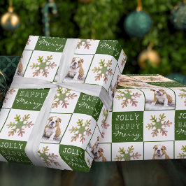 Papel De Presente Cachorro Filhote Pet Foto Floco de Neve Verde Nata