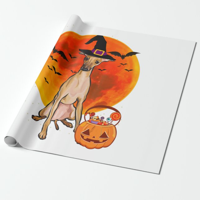 Papel De Presente Cachorro Halloween Italiano Greyhound Jack O Lante (Desenrolado)