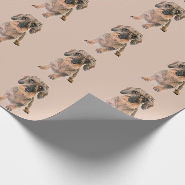 Papel De Presente Cachorro Marrom, Cachorro Moderno, Haired Terrier (Ponta)