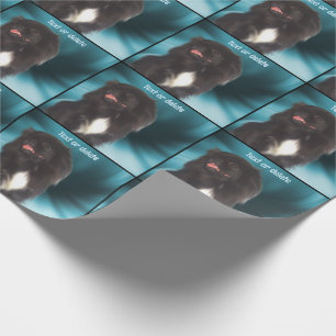 Papel De Presente Cachorro Pequim Preto Cujo Cachorro É Personalizad