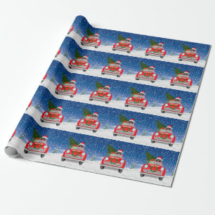 Papel De Presente Cachorro Poodle Dirigindo Carro na Neve Natal
