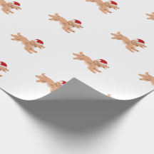 Cachorro Spaniel Natal