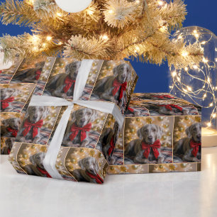 Papel De Presente Cachorro Weimaraner de Natal Com Laço Vermelho