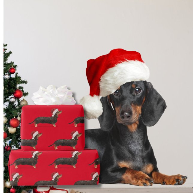 Papel De Presente Cachshund Cachorro Natal Red Santa Hat (Criador carregado)