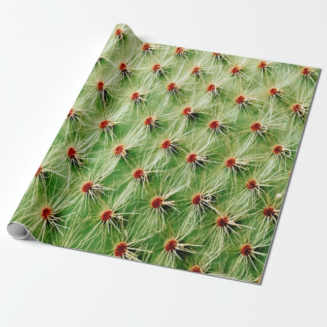 Papel De Presente Cactus (Desenrolado)