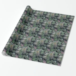 Papel De Presente Cactus Wraping Paper