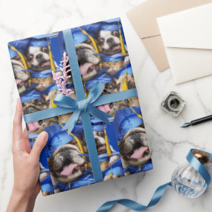 Papel De Presente Cães e Gatos Graduados em Cabine de Fotos