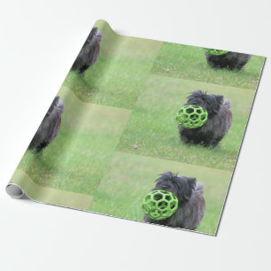 Papel De Presente Cairn terrier