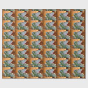 Papel De Presente camaleão camuflado