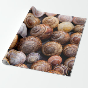 Papel De Presente Camas de caracol
