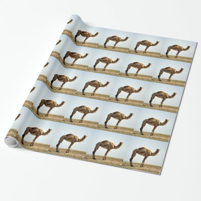 Papel De Presente Camel (Desenrolado)