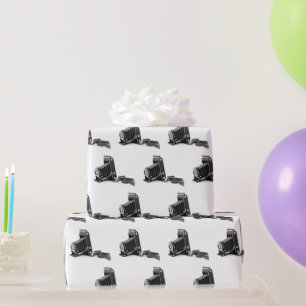 Papel De Presente Câmera Bellows Com Filme