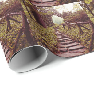 Papel De Presente Caminho para a Luz