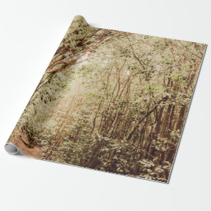 PAPEL DE PRESENTE CAMINHO RODADO COM ÁRVORES ALTAS E VERDES