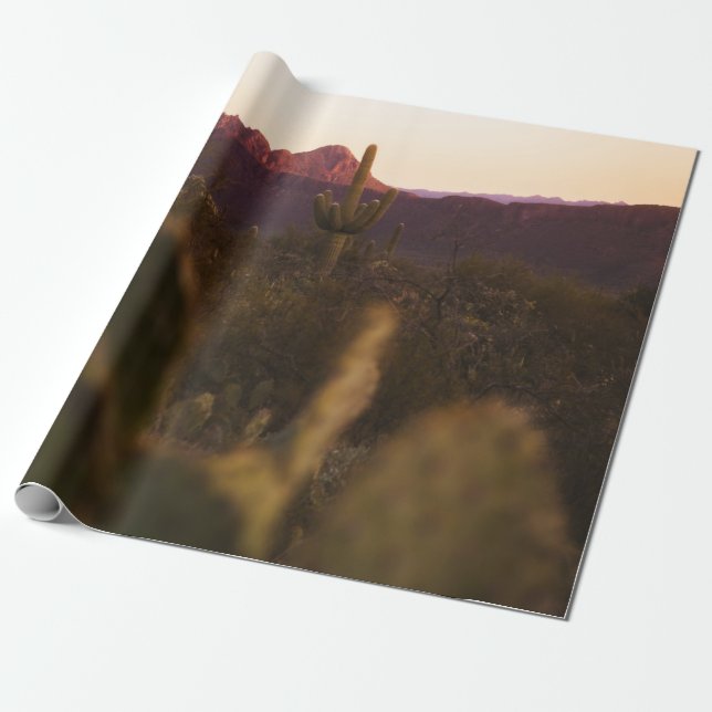 PAPEL DE PRESENTE CAMPO DE GRAMA VERDE (Desenrolado)